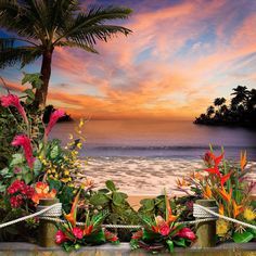 Tropical Flower Beach Photo Backdrop - Pro 10  x 10 Beach Photo Backdrop, Event Photo Booth, Tropical Forests, Beach Cove, Booth Backdrops, Sports Wedding, Costume Ball, Studio Backgrounds, Tropical Resort