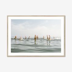 a group of people swimming in the ocean