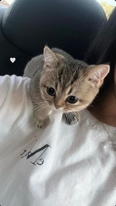 a woman holding a cat in her arms while wearing a t - shirt that says i love cats