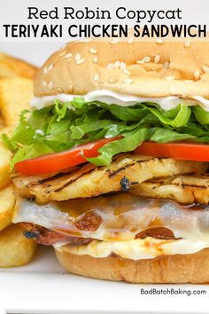 a large sandwich and french fries on a white plate