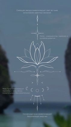 the diagram shows how to draw a lotus flower