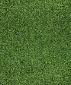 green grass textured background - stock photo - images