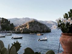 several boats are in the water near some rocks and flowers with mountains in the background