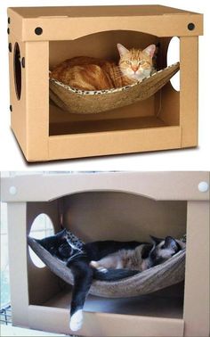 two pictures side by side one has a cat in a hammock and the other has a sleeping cat