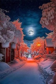 a snowy street with houses and trees in the background at night, under a full moon