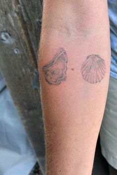 handpoked beach seashell oyster tattoo fineline soft idea inspo arm H20 Tattoo, Abalone Tattoo, Scallop Tattoo, Oyster Shell Tattoo, Shell Tattoo Ideas, Clam Tattoo, Oyster Tattoo, Shell Tattoo, Shell Tattoos