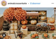 an animated image of pumpkins and other items in front of a storefront window