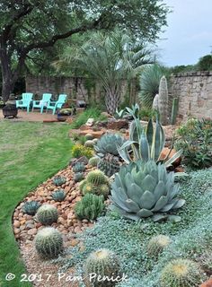 an outdoor garden with cactus and succulents