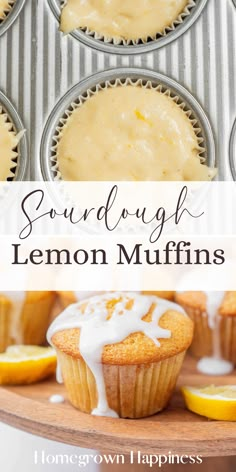 lemon muffins with white icing and lemon slices in the background, on a wooden tray