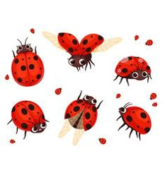 four ladybugs in different positions on a white background with red and black dots