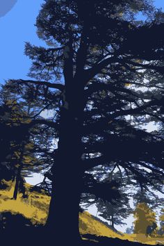 the silhouette of a tree against a blue sky with yellow grass and trees in the foreground