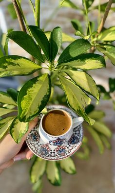 a cup of coffee sitting on top of a saucer next to a leafy plant