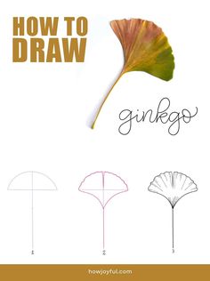 how to draw ginkgo leaves with step by step instructions for kids and adults