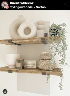 two wooden shelves with plants and vases on them