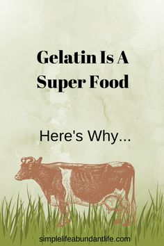 a cow standing in the grass with text that reads gelatin is a super food here's why