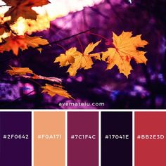 the color palette is red, orange and purple with yellow leaves on it's branches