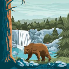 there is a bear that is walking in the woods next to a river and waterfall