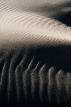 the shadow of a person standing on top of a sand dune