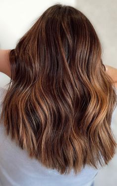 Brown Hair Colors 2023, Warm Brunette With Highlights, Warm Highlights On Brown Hair, Brown Hair Warm Highlights, Brown Warm Hair, Warm Highlights For Light Brown Hair, Warm Brunette Hair Color With Highlights, Reddish Brown Hair With Highlights, Brunette Ideas