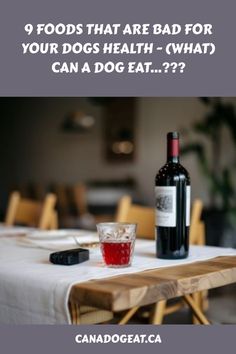 You might be surprised to learn that some of the foods in your kitchen can harm your furry friend, even if you think they can safely munch on them.