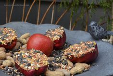 apples, nuts and seeds are on a plate with bird feeders in the background