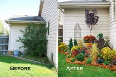 before and after pictures of a front yard garden