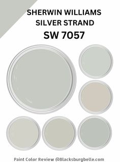 sherylin williams crushed ice sw 767 paint color review