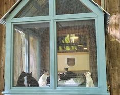 three cats are sitting in the window of a cat house that is made out of wood