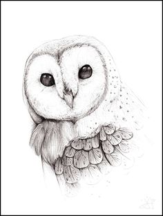 an owl with big eyes is shown in this drawing