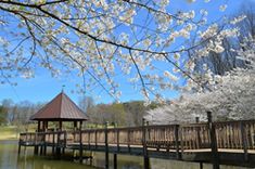 a gazebo sitting on top of a wooden bridge