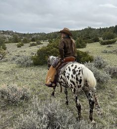 a man riding on the back of a brown and black spotted horse in a field