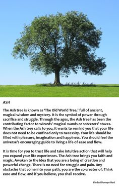 an image of a tree in the middle of a field with a poem written on it