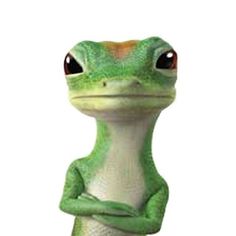 a green gecko sitting on top of a white wall with its arms crossed and eyes wide open