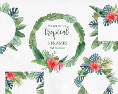 watercolor tropical frames with flowers and leaves