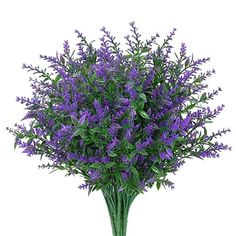 purple flowers in a green vase on a white background