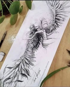 a drawing of a bird with feathers on it