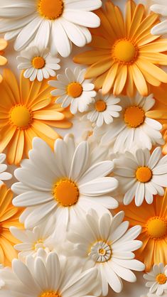 many white and yellow daisies are arranged in the shape of a wallpaper pattern