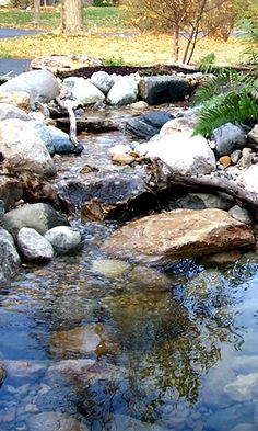 a stream running through a park filled with lots of rocks and plants on top of it