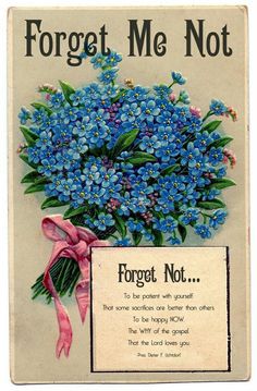 an old postcard with blue flowers and pink ribbon on it that says forget me not