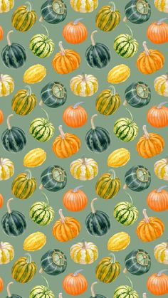 watercolor pumpkins and gourds on a green background seamless wallpaper