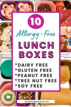 lunch boxes with the text 10 allergy - free lunch boxes dairy free gluen free peanut free soy free soy free