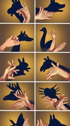 many different images of hands reaching out to each other with the shadow of birds on them