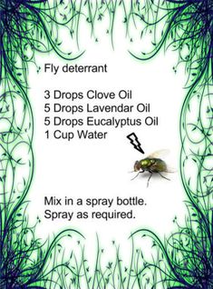 the instructions for how to get rid from mosquitoes and fly in your yard or garden