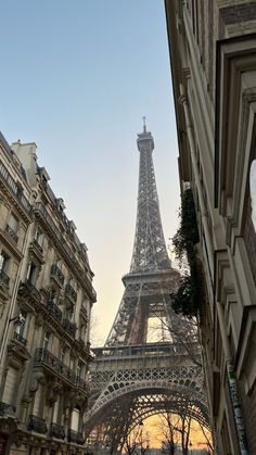 the eiffel tower towering over other buildings