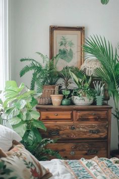 some plants are sitting on top of a dresser in a room with white walls and wooden furniture