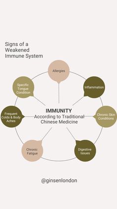 🌿 Explore the subtle signs of a weakened immune system through the lens of TCM with Ginsen London! 🌸✨ In TCM, an imbalance in the body's vital energy can manifest in various ways, indicating compromised immunity.  🌺 Join us in understanding these nuanced signals and empowering your body's defense mechanisms holistically. 🌈💚   #GinsenLondon #TCMImmunity #HolisticWellness #QiDeficiency #ImmuneSystemSupport #TraditionalChineseMedicine  #HarmonyInHealth #EmpowerYourHealth #TCMWisdom Defense Mechanisms, Traditional Chinese Medicine, Holistic Wellness, Chinese Medicine, Traditional Chinese, Immune System