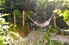 a hammock hanging in the middle of a garden