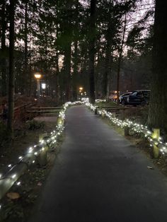 the path is lined with lights and trees