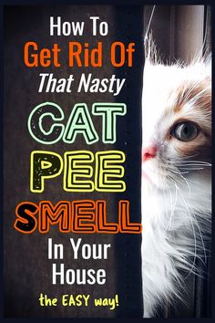 Cat Pee Smell Removal, Remove Cat Urine Smell, Cat Urine Remover, Cat Pee Smell, Cat Urine Smells, Smell Remover, Pee Smell, Cat Problems, Cat Repellant