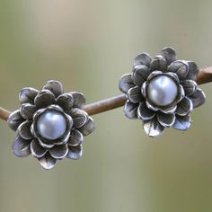 NOVICA Sterling Silver Pearl & Lotus Flower Stud Earrings | The Hunger Site Pearl Ring Designs, Flowers With Pearls, Metalwork Jewelry, Silver Pearl Earrings, Earrings Design, Lotus Flowers, White Eyes, Filigree Earrings, Moonstone Earrings